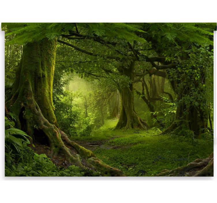 Estores de rolo de árvores refúgio florestal luxuriante - TenStickers