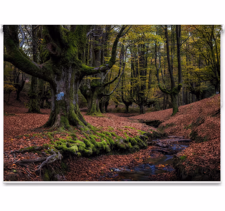 Estores de rolo de árvores floresta encantada de outono - TenStickers