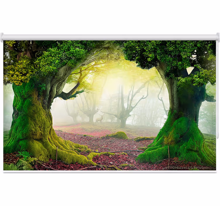 Estores de rolo de árvores portal da floresta eterna - TenStickers