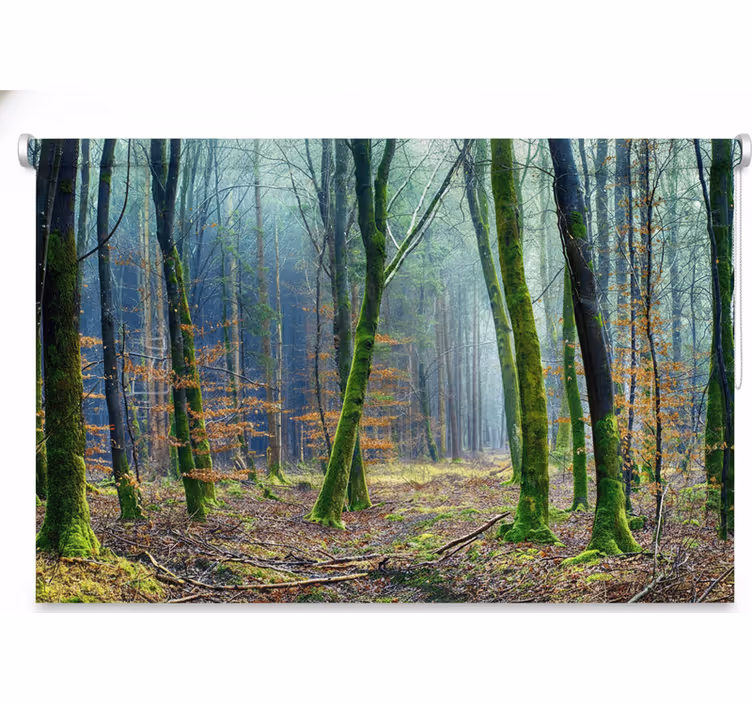 Estores de rolo de árvores floresta nebulosa japandi - TenStickers