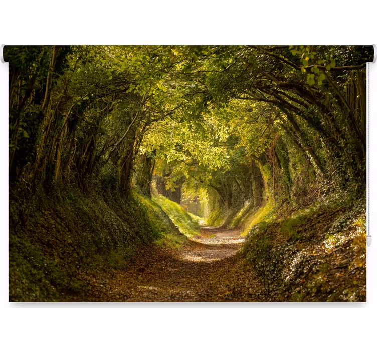 Estores de rolo de árvores mural florestal imersivo - TenStickers
