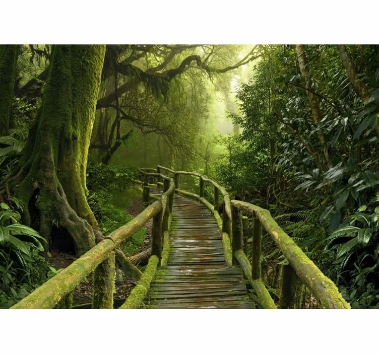 Estores de rolo de árvores caminho musgoso luxuriante - TenStickers
