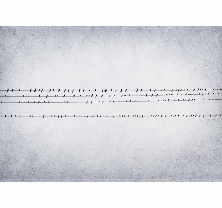 Estore de rolo branco concerto de pássaros em linhas - TenStickers