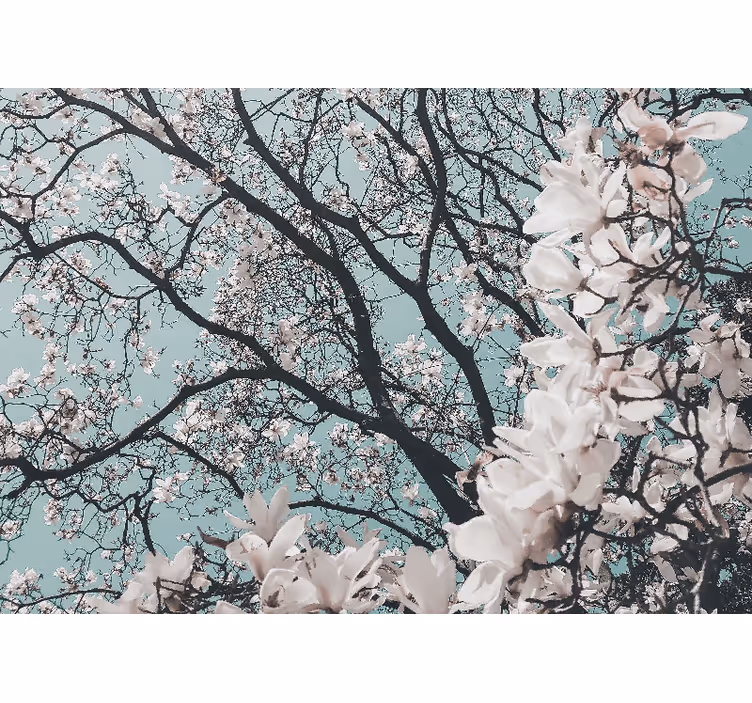 Estore de rolo para sala estilo elegante flor de cerejeira - TenStickers