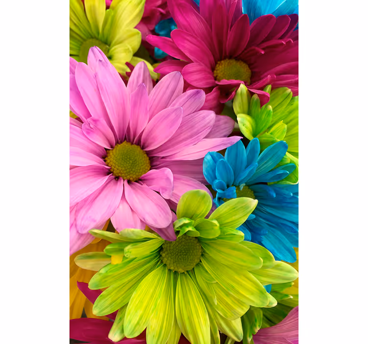 Estore de rolo para sala flores coloridas - TenStickers