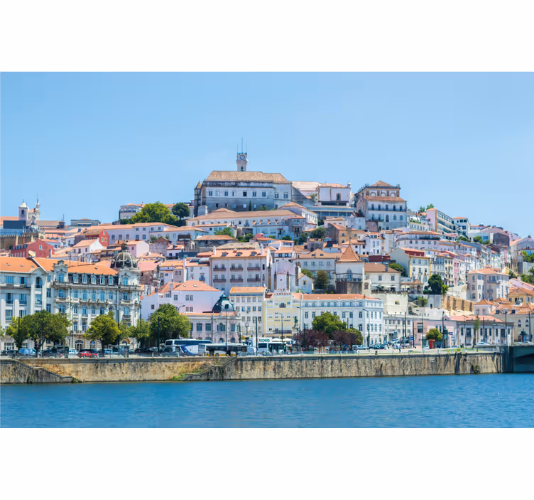 Estore de rolo para sala coimbra - TenStickers