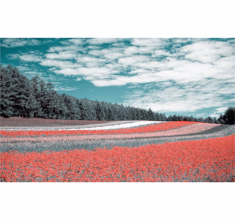 Estore de rolo para sala campo de flores diferentes - TenStickers