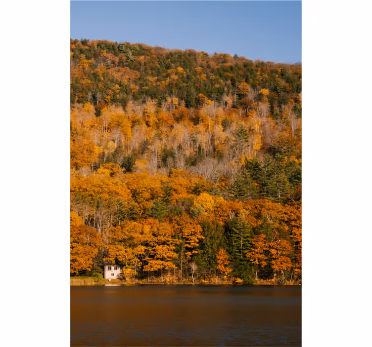 Estore de rolo para sala lago e árvores douradas - TenStickers