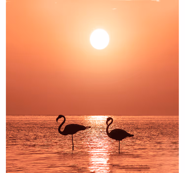 Estore de rolo para sala flamingo bonito ao pôr do sol - TenStickers