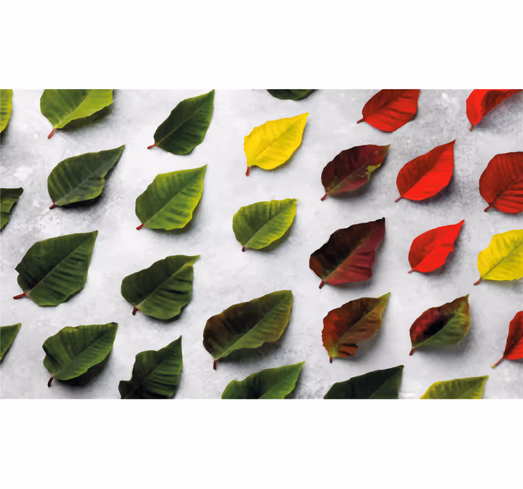 Estore de rolo para sala folhas coloridas em vista superior - TenStickers