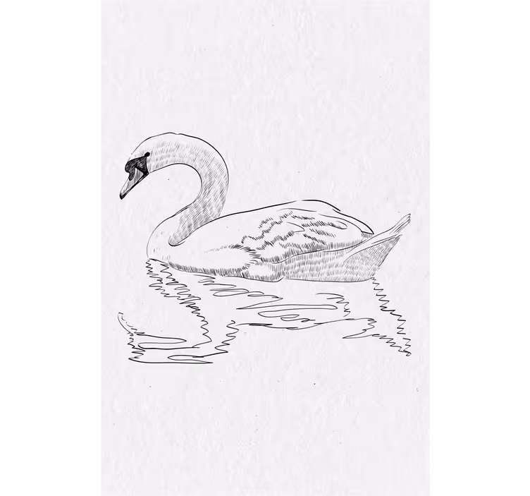 Estore de rolo para sala cisne em desenho - TenStickers