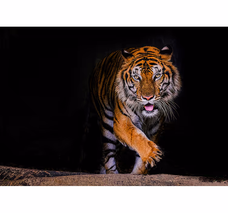 Estore de rolo preto tigre - TenStickers