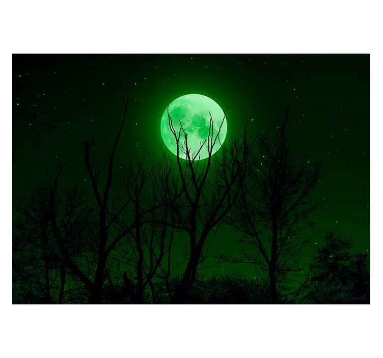 Estore de rolo preto lua verde - TenStickers
