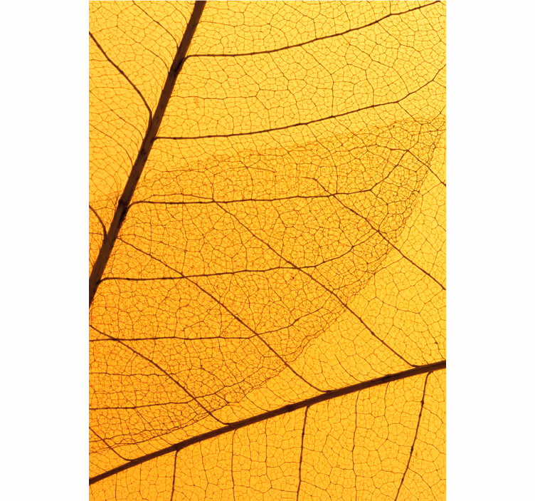 Estore de rolo amarelo com design de folhas botânicas - TenStickers