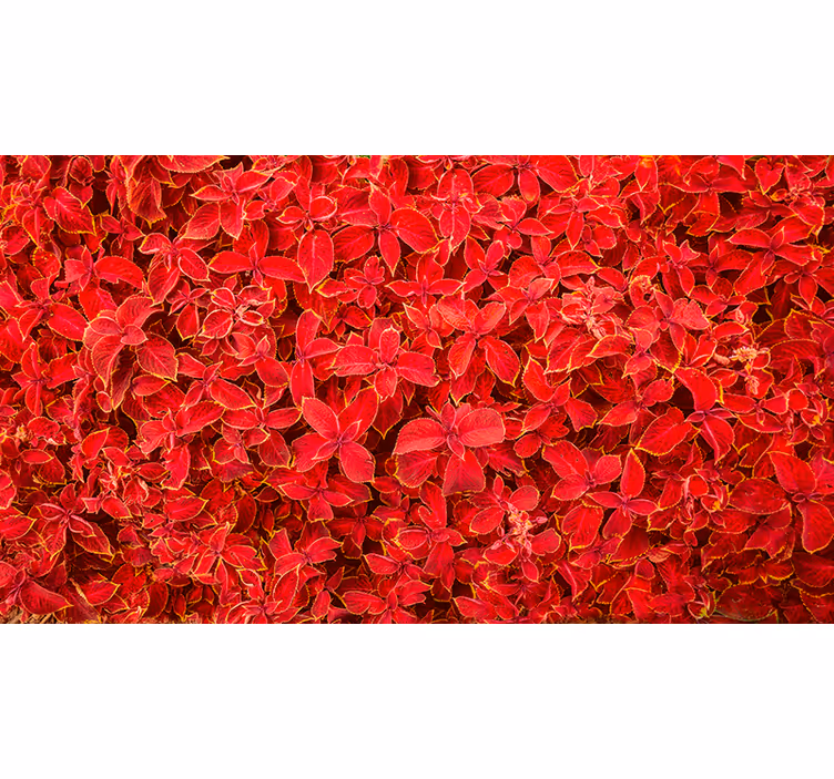 Estore de rolo vermelho padrão de pétalas - TenStickers