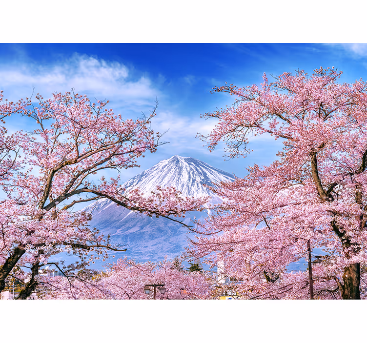 Estore de rolo para sala flor de cerejeira da montanha - TenStickers