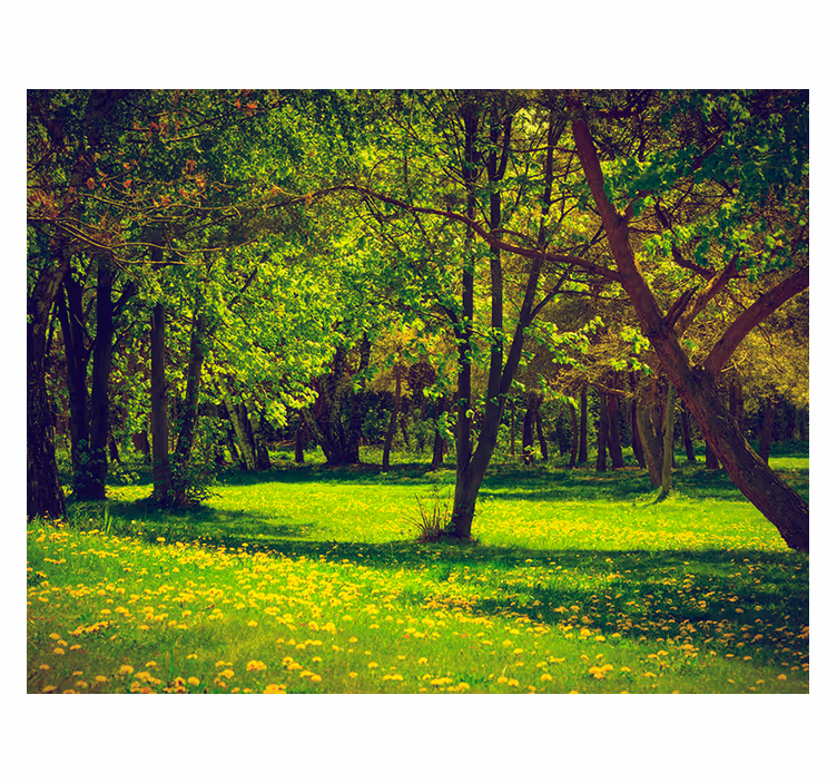 Estore de rolo para sala vista sereno da floresta - TenStickers