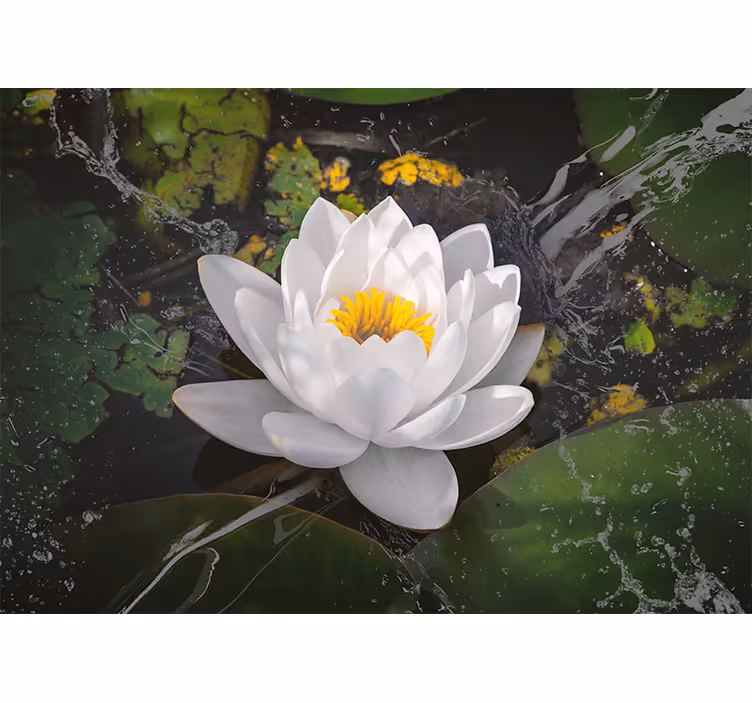 Estore de rolo para sala lótus branco e amarelo - TenStickers