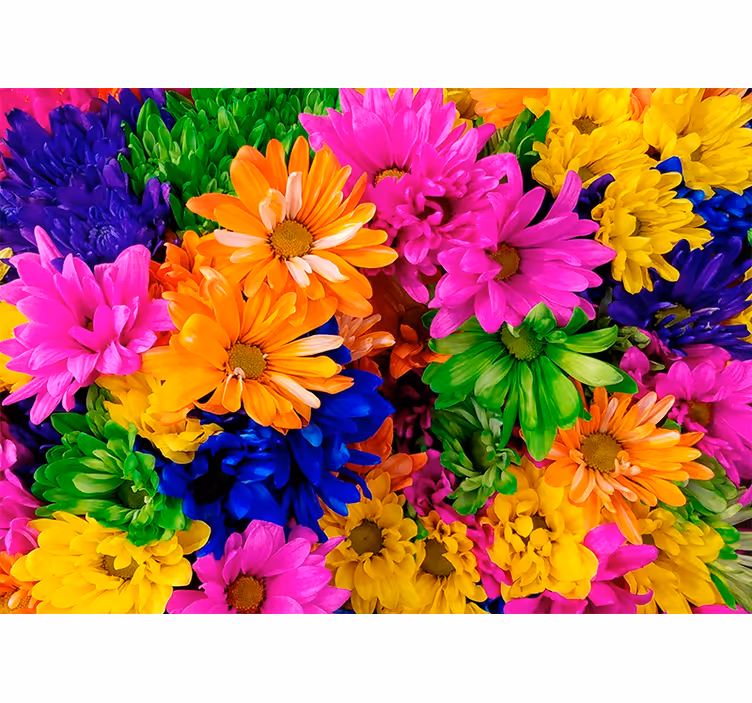 Estore de rolo para sala crisântemo colorido - TenStickers