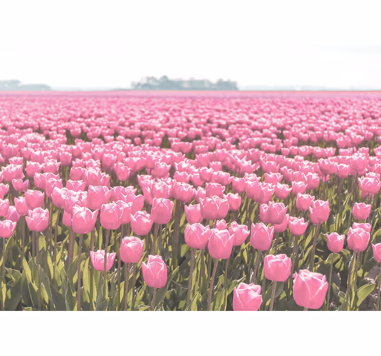 Estore de rolo para sala campo de tulipas rosas diferentes - TenStickers