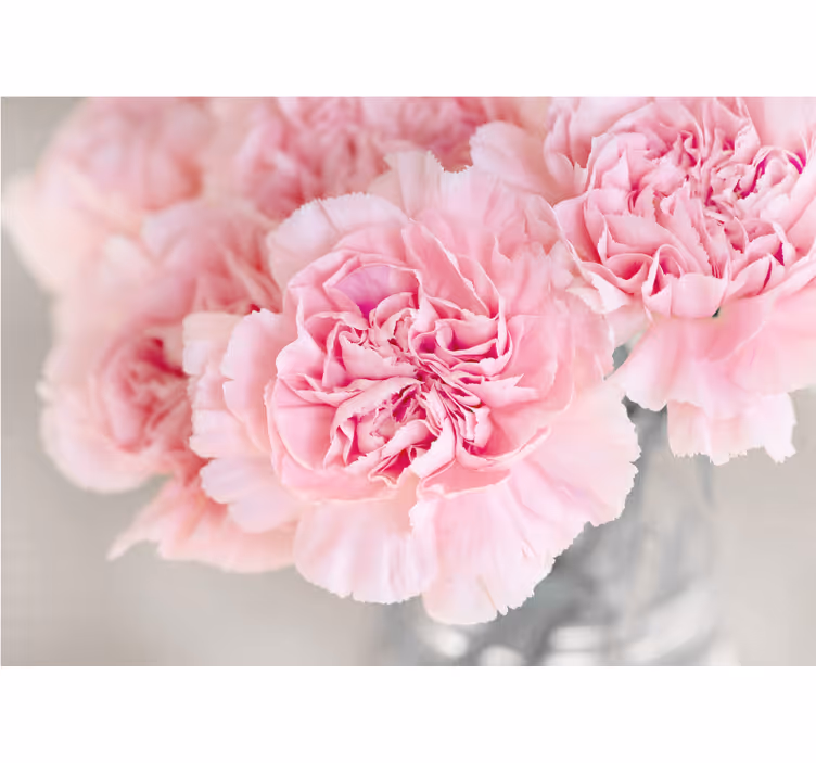 Estore de rolo para sala muitas cravos rosas fundo cinza - TenStickers