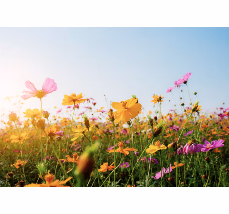 Estore de rolo para sala mix de tipos de flores - TenStickers