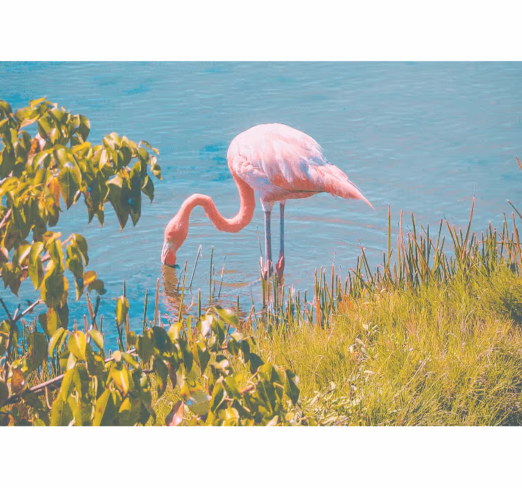 Estore de rolo para sala flamingo bonito perto da água - TenStickers