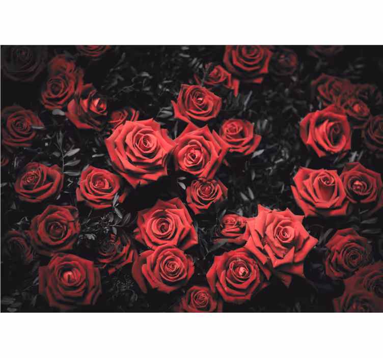 Estore de rolo para sala preto e branco com rosas vermelhas - TenStickers