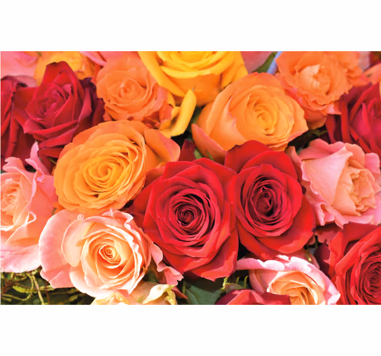 Estore de rolo para sala rosas e flores diferentes - TenStickers