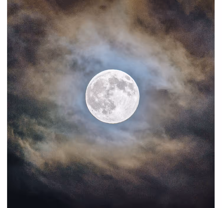 Estore de rolo para sala noite de lua cheia - TenStickers