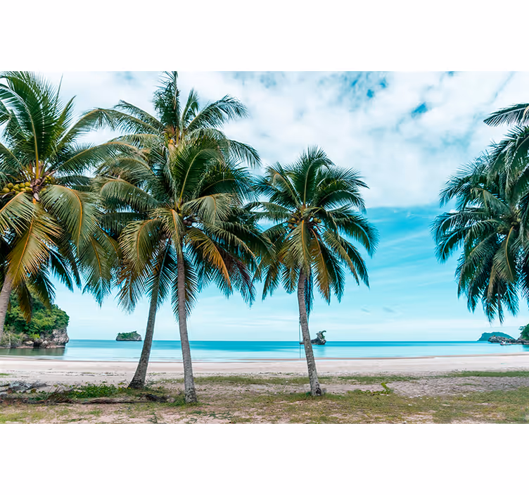 Estore de rolo para sala palmeiras de praia e areia - TenStickers