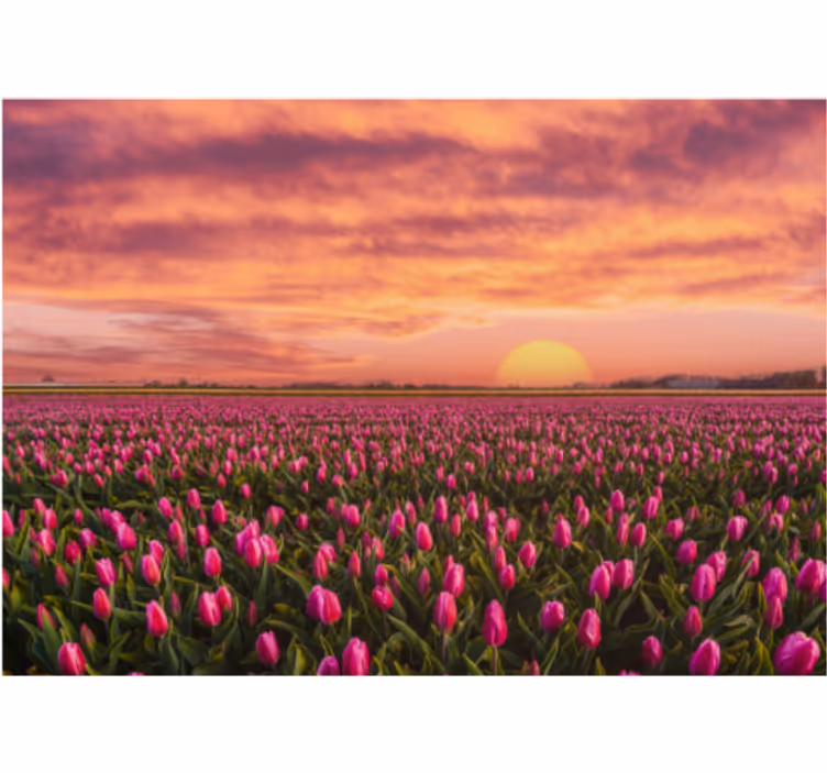 Estore de rolo para sala amanhecer e tulipas - TenStickers