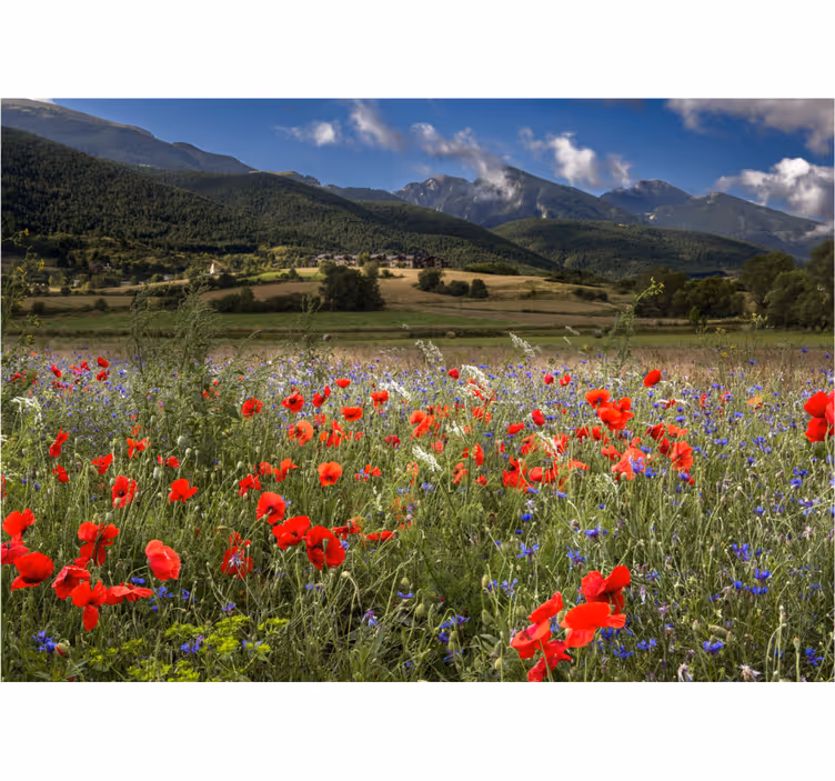 Estore de rolo para sala campo bonito com flores - TenStickers
