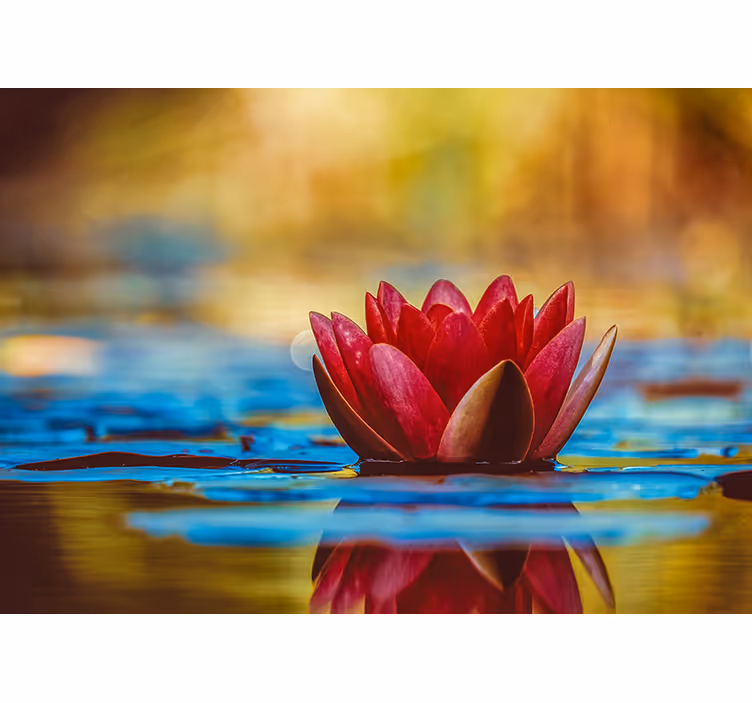 Estore de rolo para sala flor de lótus zen refletida - TenStickers