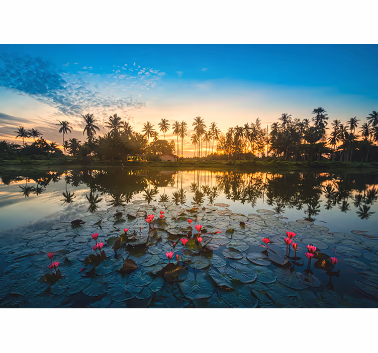 Estore de rolo para sala flor de lótus ao amanhecer - TenStickers