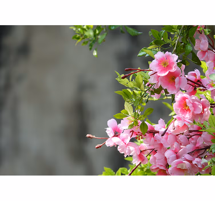 Estore de rolo para sala flores rosas 3d - TenStickers