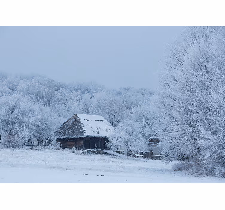 Estore de rolo para sala casa de pátio nevado - TenStickers