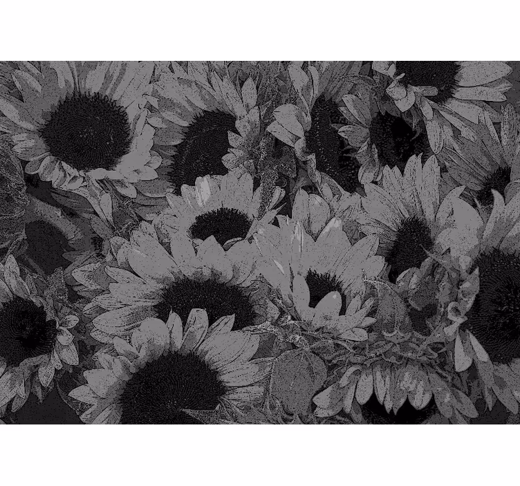 Estore de rolo para sala girassol preto e branco - TenStickers