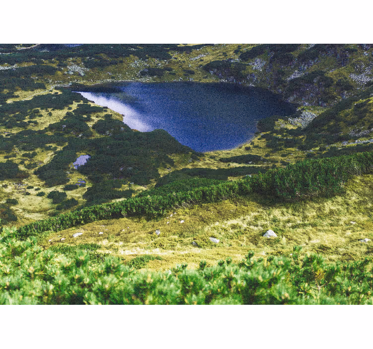 Estore de rolo para sala tatras verdes - TenStickers