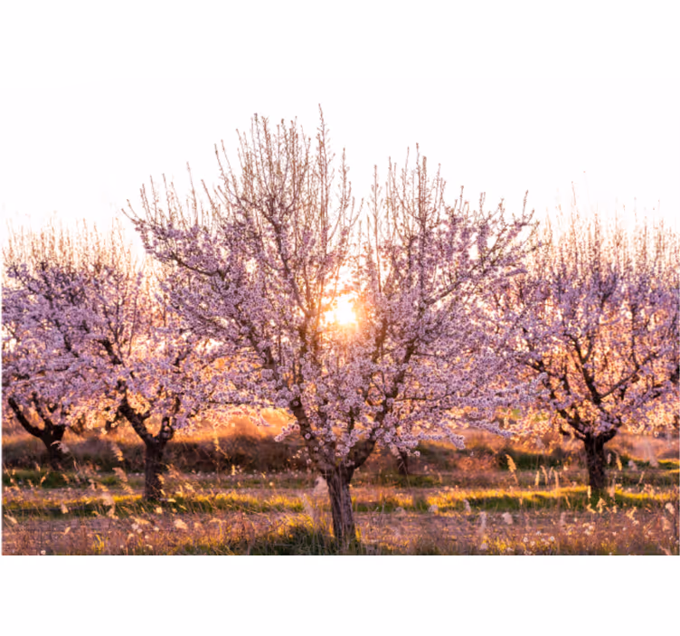 Estore de rolo para sala paisagem rosa com flores - TenStickers