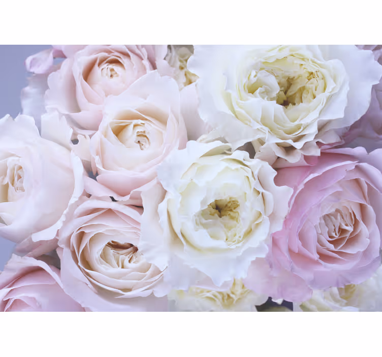 Estore de rolo para sala rosas diferentes em close - TenStickers