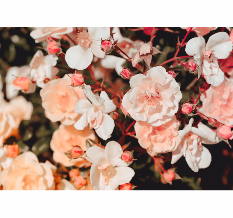 Estore de rolo para sala com muitas flores - TenStickers