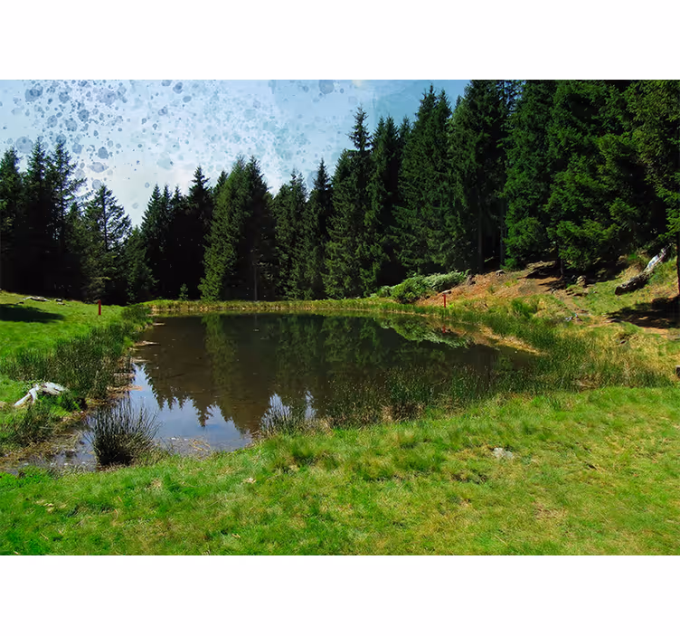 Estore de rolo para sala campo verde com árvores e lago - TenStickers