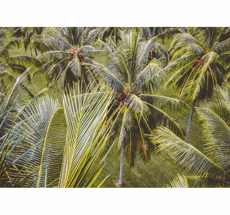 Estore de rolo para sala paisagem de floresta com palmeiras - TenStickers