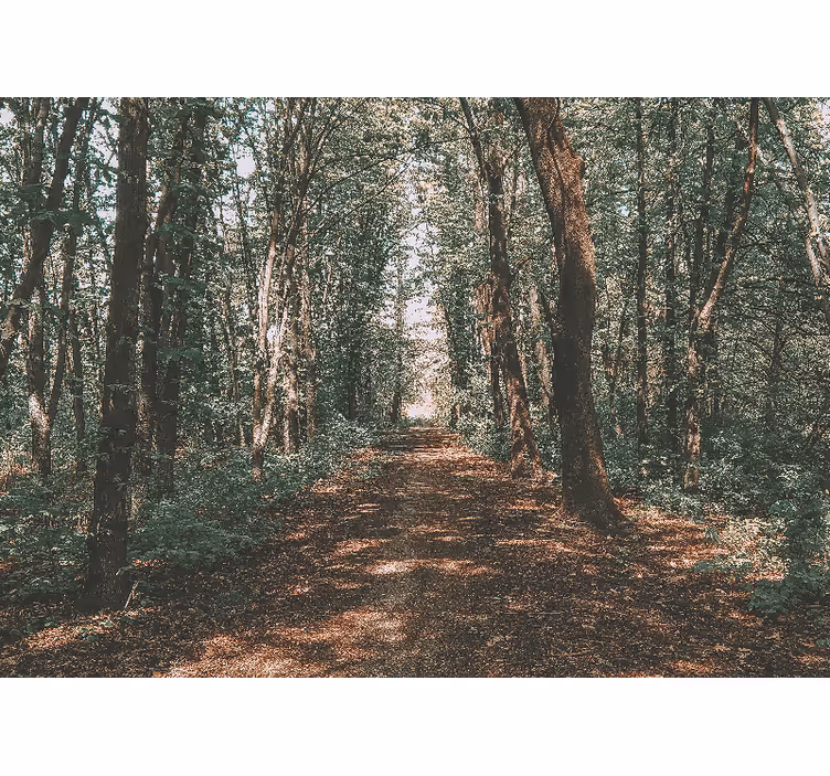 Estore de rolo para sala foto de floresta verde e marrom - TenStickers