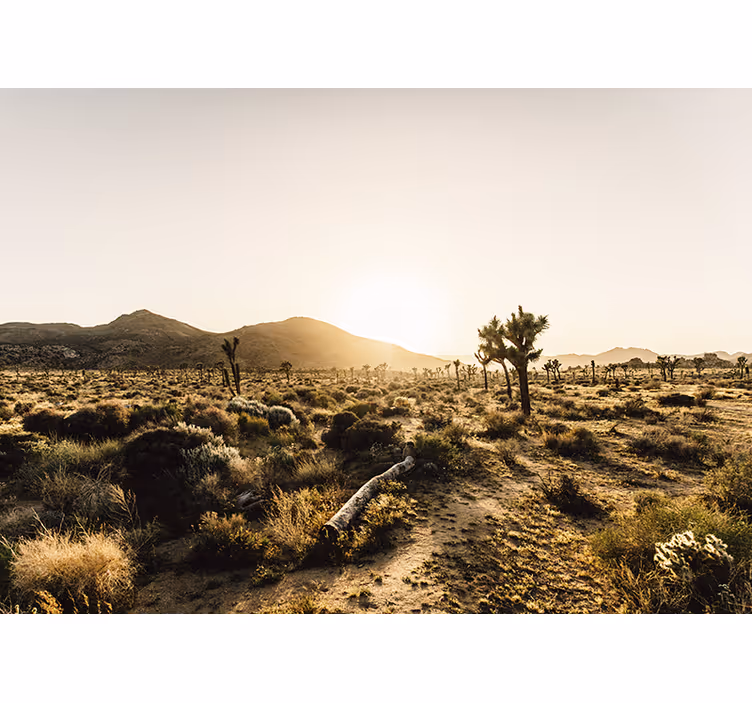 Estore de rolo para sala com design fascinante de deserto - TenStickers