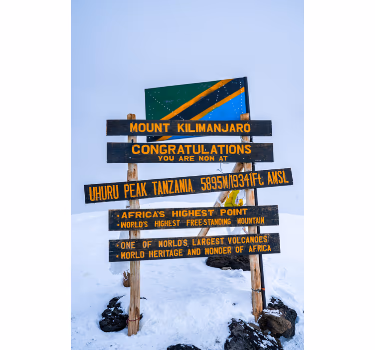 Estore de rolo para sala placa kilimanjaro - TenStickers