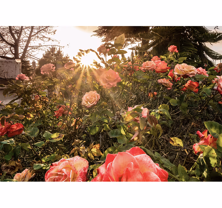 Estore de rolo para sala floral de estilo campestre - TenStickers