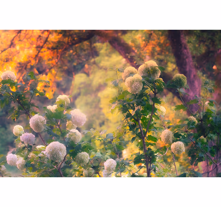 Estore de rolo para sala amanhecer campestre - TenStickers