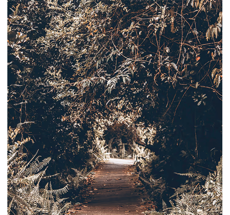 Estore de rolo para sala túnel "nature" para a floresta - TenStickers